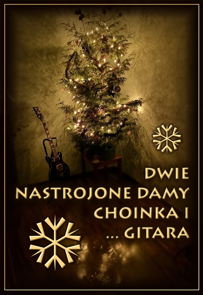 Ekologiczna choinka 2019