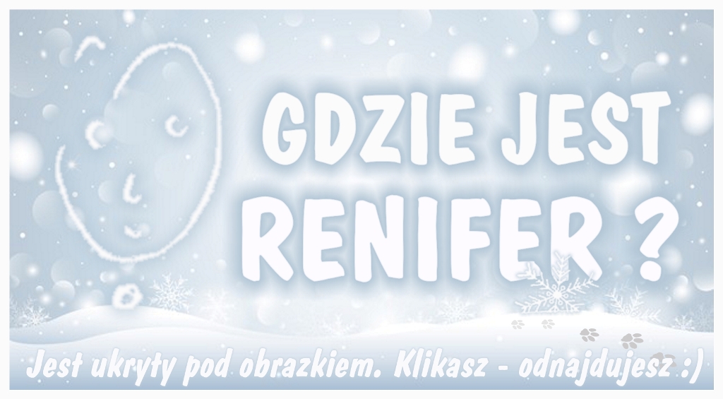 To nie pies ani miś polarny. To Reni/fairy