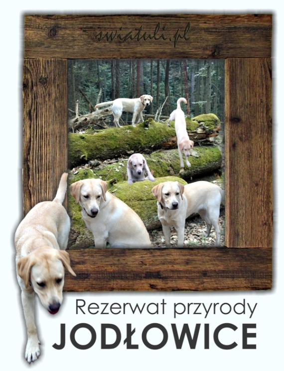 Spacer po Rezerwacie Jodłowice