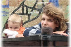 08_kamien