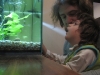 Urodziny Kuby - Narazie tylko obserwuję rybki i bąble w akwarium