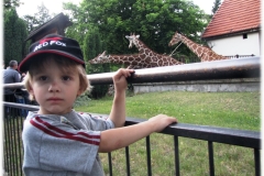 Czerwiec - Wieczór Marzeń we Wrocławskim ZOO - Spotkanie z żyrafą to był dopiero początek niezłej zabawy