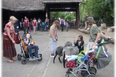 Czerwiec - Wieczór Marzeń we Wrocławskim ZOO - W mini zagrodzie spędziliśmy prawie godzinę