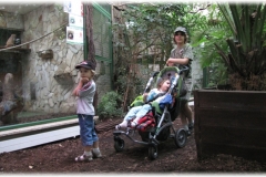 Czerwiec - Wieczór Marzeń we Wrocławskim ZOO - Dżungla, świat dziecięcych marzeń