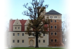 Zamek Topacz - w całej okazałości
