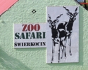 Maj - Ula na safari w Świerkocinie.