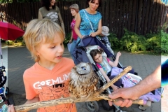 Zoo - Marek opanowuje sytuację, ujażmia sowę, mogę przejechać dalej.