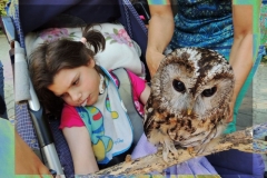 Zoo - Sowa nie daję za wygraną. Stosuję unik, chrząkam i odwracam głowę.