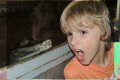 Zoo - Ten krokodylowaty już nigdy nie będzie straszył. Marek pierwszy ugryzł gada. Gdyby nie dziury w zębach brata po cukierkach pewnie by go rozszarpał.