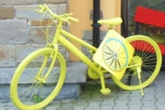 Zagubiona holenderka w Zakopanem.