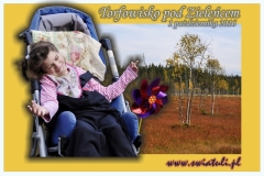 1_2016_torfowiska_baner