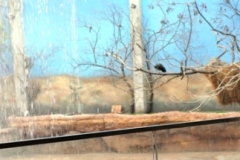 04_zoo16