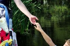 Ruda Sułowska -Między Stawami Trześniówki. Łabędź niemy tutejszy ale uchwycony na stronie m.krainaniezwyklosci.pl