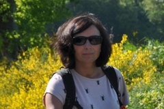 05_nowolesie