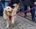 12 stycznia - Gramy na Rynku we Wrocławiu