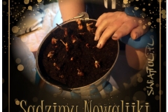 03_Sadzimy Nowalijki