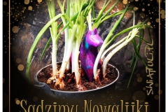 05_Sadzimy Nowalijki