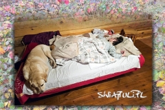 01_2025_struznica_Easy