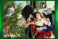 05_stroimy_choinke_Easy