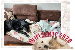 07_wielkanoc26_Easy